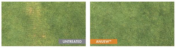 You don't need to choose between playability and operational efficiency. Liquid PGR Anuew™ EZ will save you time with less mowing and fewer clippings while improving the overall playability of greens, tees and fairways. bddy.me/3QkPtjN