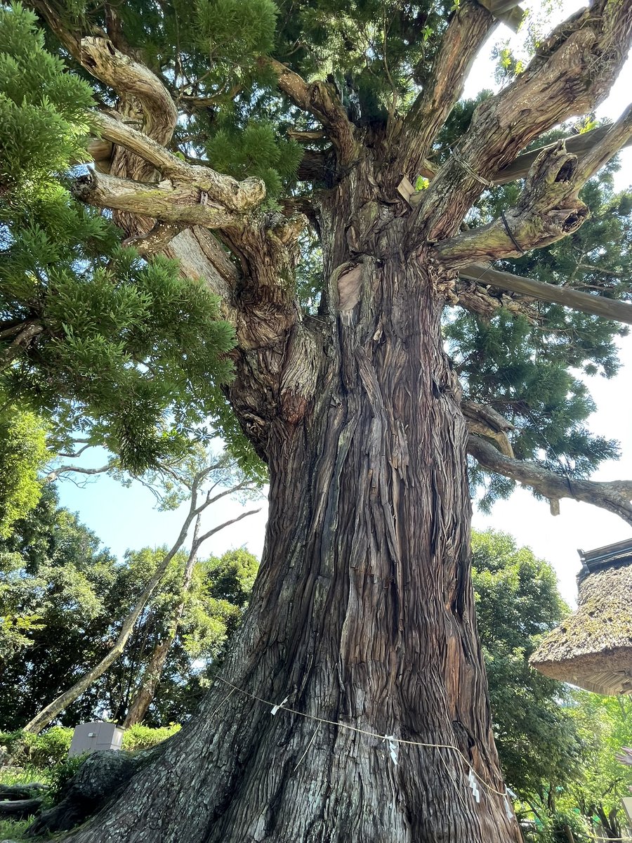 dreamshipmeg's tweet photo. 27日から、隠岐島に来ています…ヤバい、東京に帰りたくない、、、

#隠岐島 https://t.co/iEiVWqTpIZ