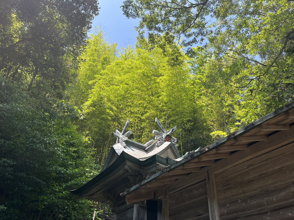 dreamshipmeg's tweet photo. 27日から、隠岐島に来ています…ヤバい、東京に帰りたくない、、、

#隠岐島 https://t.co/iEiVWqTpIZ