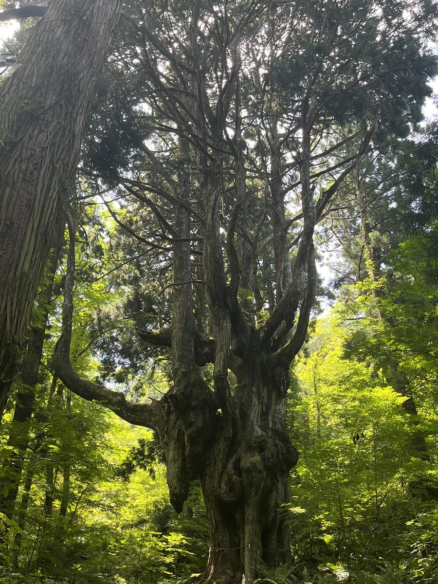 dreamshipmeg's tweet photo. 27日から、隠岐島に来ています…ヤバい、東京に帰りたくない、、、

#隠岐島 https://t.co/iEiVWqTpIZ