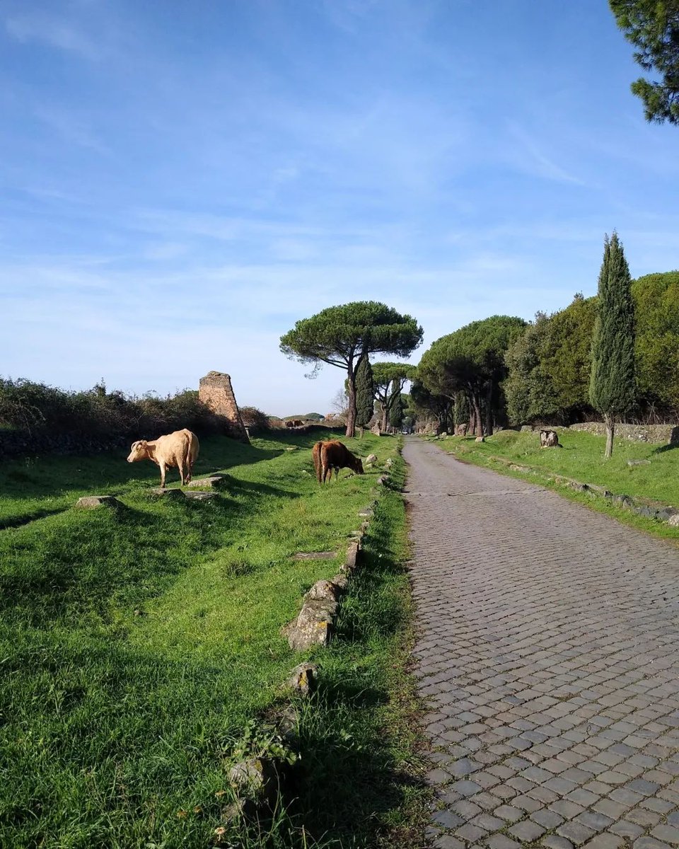 L'Appia Antica in un'immagine che ricorda un quadro ottocentesco. Siamo a poca distanza dal Colosseo, ma in una realtà legata alla campagna!  

The Appia Antica as a nineteenth-century painting. A country atmosphere, not far from the Colosseum!
📸 IG: raff_a67
#VisitRome