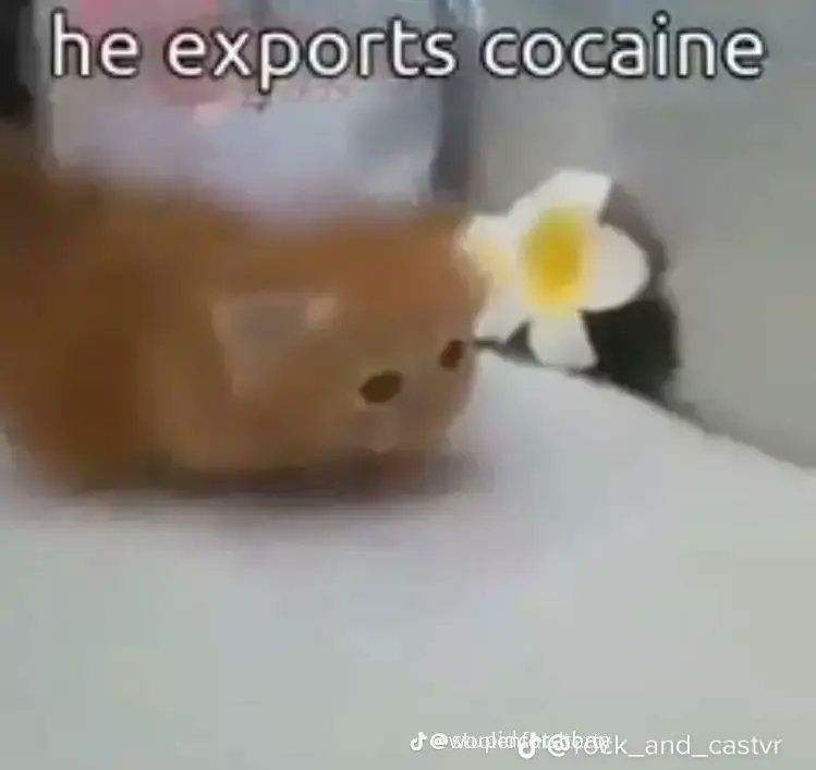 Rayrae06271415's tweet photo. @ShitpostGate https://t.co/AapUMxTXsF