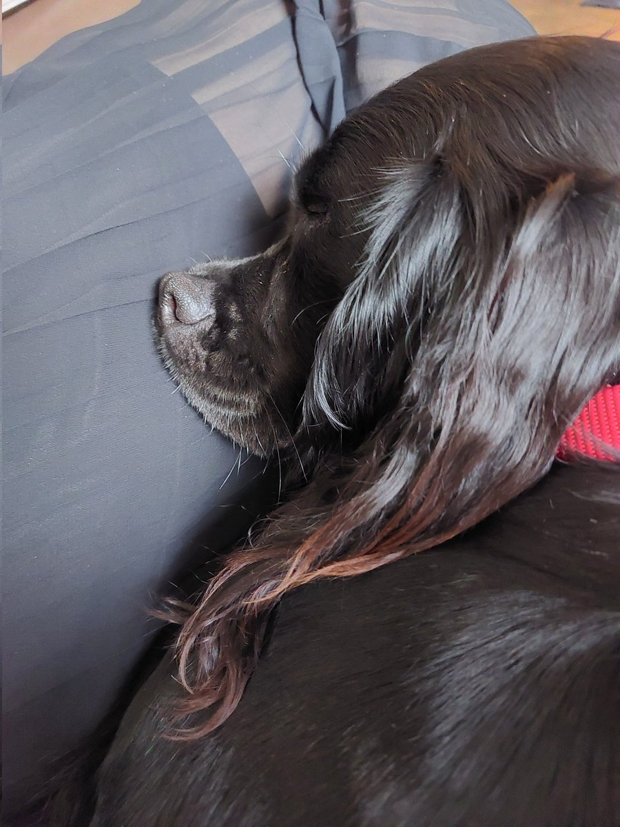4Sprockers's tweet photo. Mavis has temporarily conked out https://t.co/DAsWb5quo2