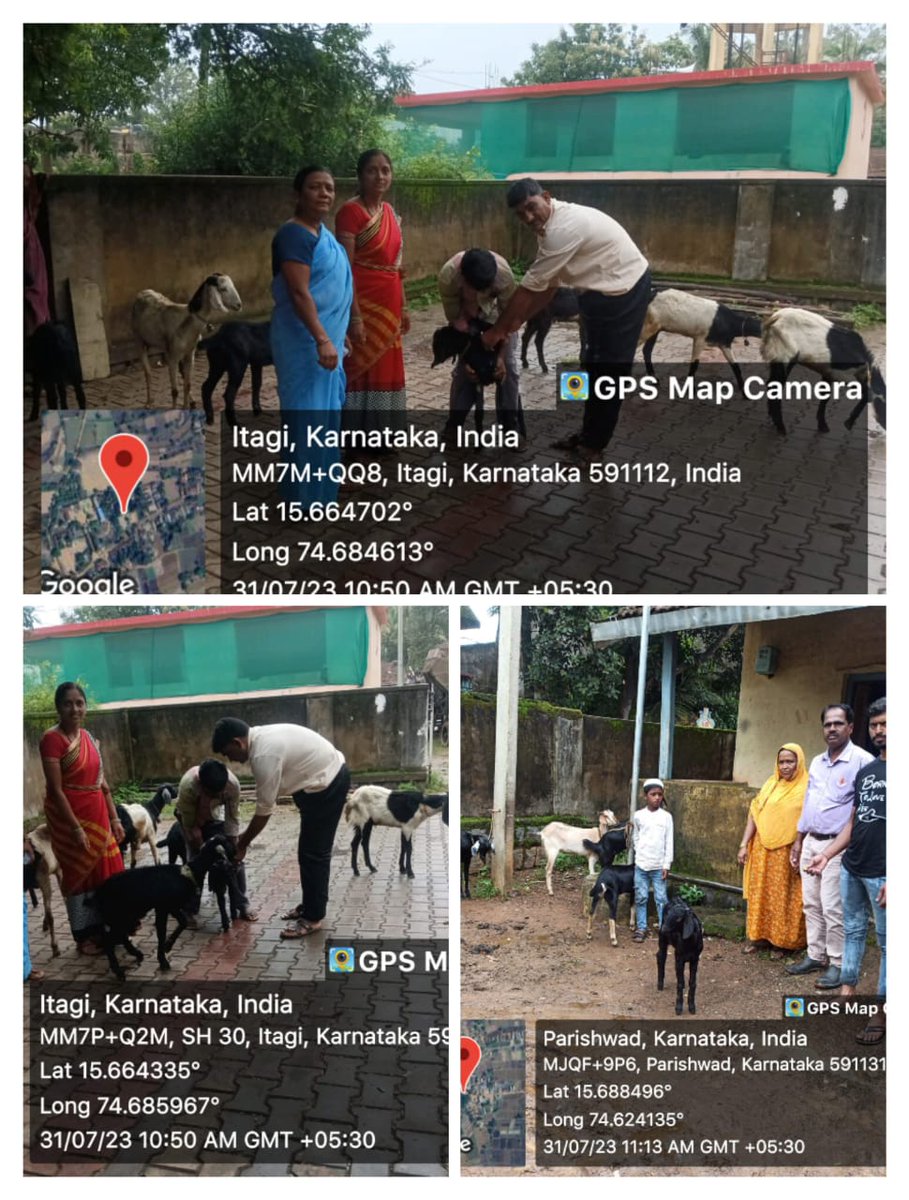 AHVS_Karnataka's tweet photo. ದಿನಾಂಕ: 31/07/2023 ರಂದು ಬೆಳಗಾವಿ ಜಿಲ್ಲೆಯ ಖಾನಾಪುರ ತಾಲೂಕಿನ ವಿವಿಧ ಗ್ರಾಮಗಳಲ್ಲಿ ಕುರಿ ಮತ್ತು ಮೇಕೆಗಳಿಗೆ ಪಿ.ಪಿ.ಆರ್ ಲಸಿಕೆ ಕಾರ್ಯಕ್ರಮವನ್ನು ಡಾ. ಎ. ಎಸ್. ಕೂಡಗಿ ಮುಖ್ಯ ಪಶುವೈದ್ಯಾಧಿಕಾರಿ (ಆಡಳಿತ) ರವರ ನೇತೃತ್ವದಲ್ಲಿ ಹಮ್ಮಿಕೊಳ್ಳಲಾಯಿತು.
#Belagavi #PPRVaccination https://t.co/KMYKzXvAEr
