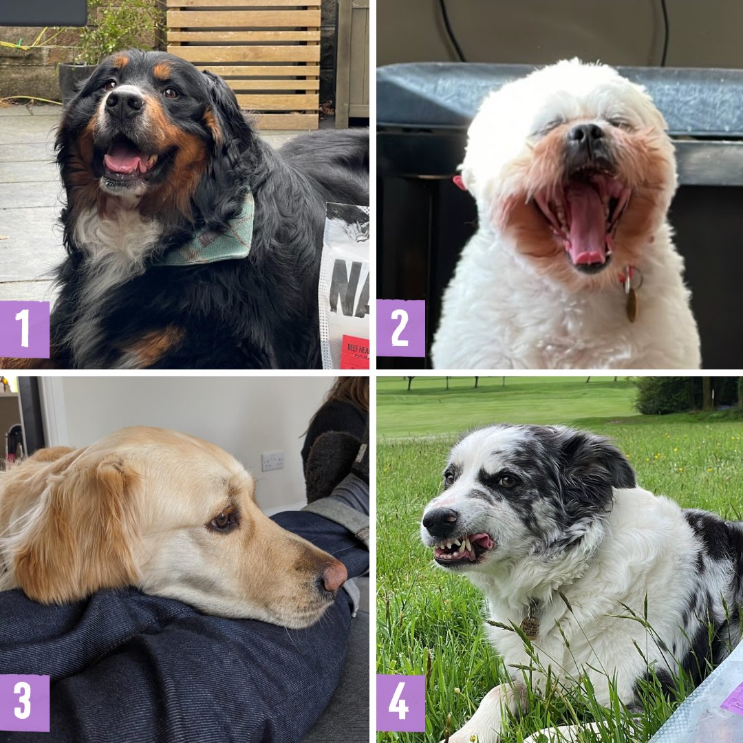 getnaw1's tweet photo. It's Monday. Which mood are you today? ⬇️ https://t.co/XqqEtHUykd