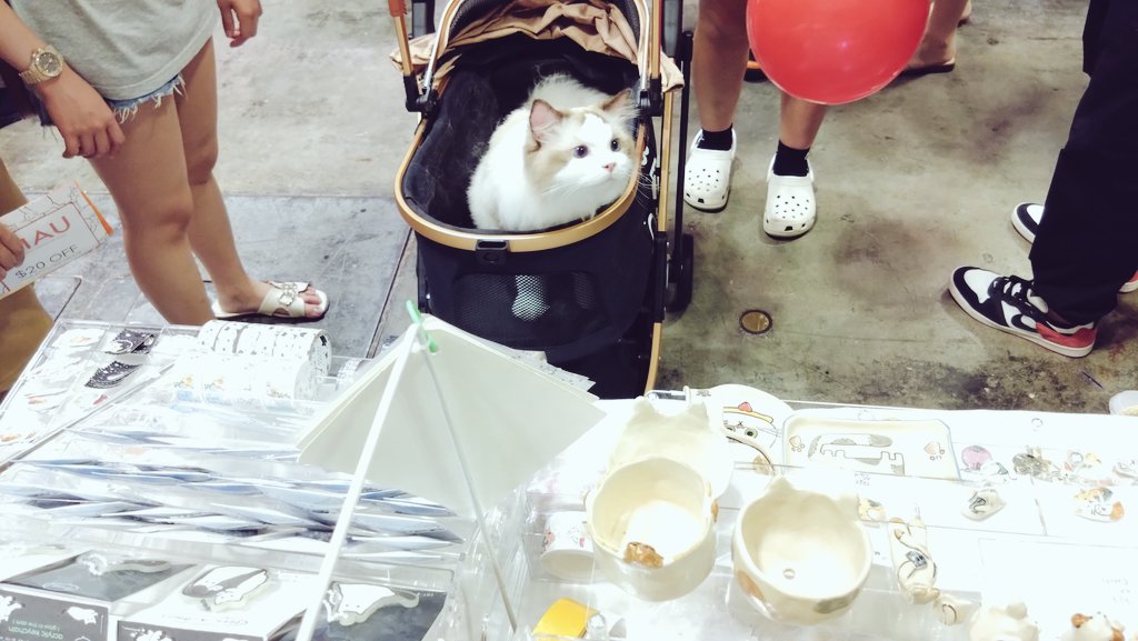 ppweiwei's tweet photo. Thank you for happiness and wonderful experience 💖💖💖💖🐱🐱🐱🥰🥹😭🥳
See you again to next event 💕💕💕
เป็นงานที่สนุกมากกกกกกกกก ฟูลฟิลจิตใจทาสแมวเหลือเกิน ใจหูไม่ไหวแล้วววว นายท่านน่ารักหมดเลย แงๆๆๆ 🥹🥹💖
#AsiaCatExpo2023 #AsiaCatExpo #CatFestival #Cat https://t.co/hBbl7lwIu2