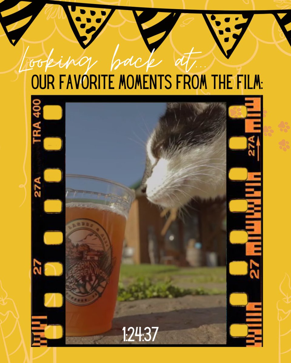 GKVisual's tweet image. We're celebrating the 5th anniversary of our documentary - Poured in Pennsylvania! 🍻 🎬 🎉

Let's all look back at our team's favorite moments! GK Visual's Co-Owner and Head of Post Production Doug Metz is taking us back to a shot he captured at Sprague Farm &amp;amp; Brew Works.