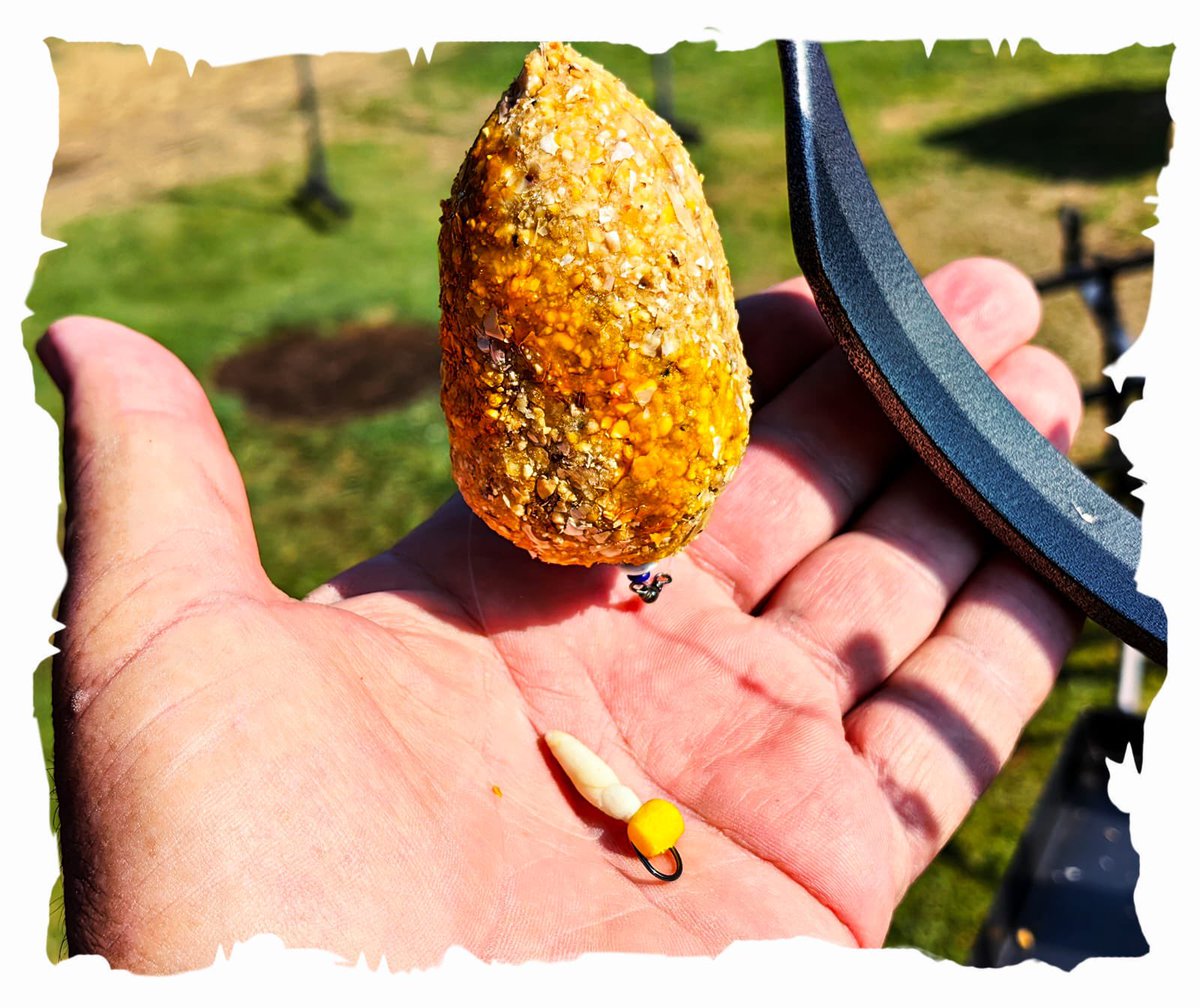 Tersum2's tweet photo. Fish love it because of the protein concentrate in it. They can smell it meters away, even in this cold weather https://t.co/aVL3Q8POrF