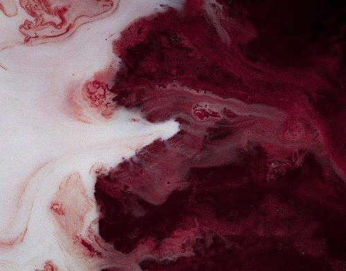 xianscript's tweet photo. my dear crimson,
hyunho au

he used writing as an escape to see the rising cave. dear words of his became the sweet letter of sin—questions wished to be answered spill like a leaking pen.

 aches became so ancient, as crimson collides under the searing skin. https://t.co/TLRbRJrJid