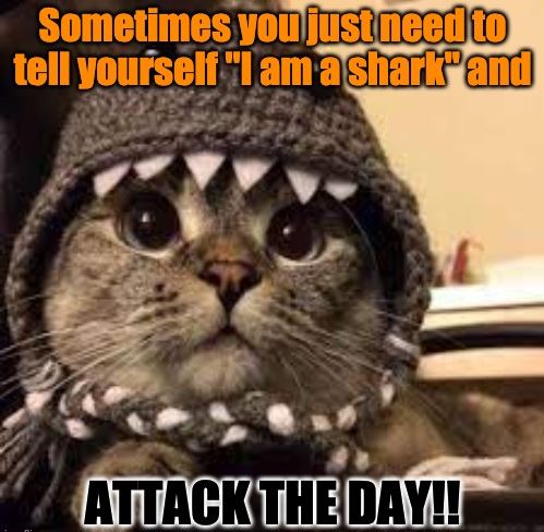 EngeniumCareers's tweet photo. 🦈 Attack the week by searching for a new #job with us! Click the link to see the positions we are #hiring for!
https://t.co/R6VgEUKQpm
Make sure to follow engenium too for all of our posts and updates.
#nowhiring #recruiter #network #jobalerts #mondaymotivation #linkedin #jobs https://t.co/FsIw2fIShq