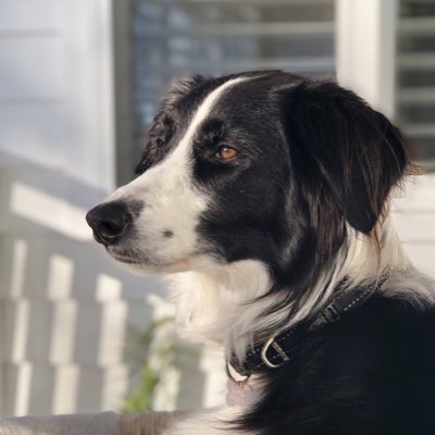 #NewProfilePic
