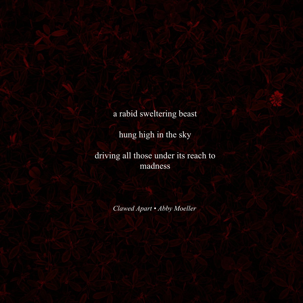 love summer and gothic vibes? check out my piece “clawed apart” in <a href="/panoramepress/">Panorame Press</a>’s inaugural issue