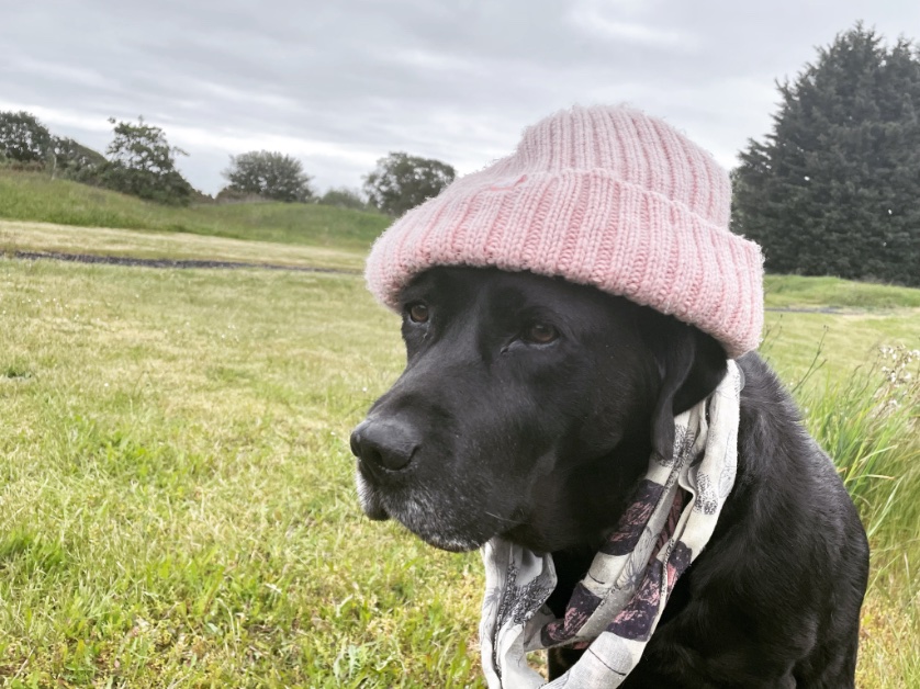 victorthevole's tweet image. Missing my weather girl so much #ripjess #loveukweather  💔 💔💔