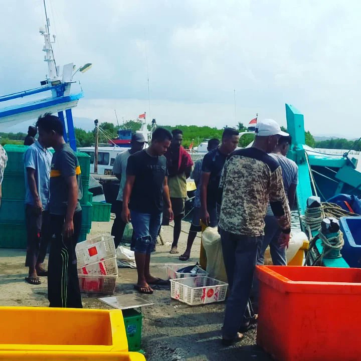 kualapeukanbaro's tweet photo. #Sahabatbahari aktivitas proses pembongkaran dan pengiriman hasil tangkapan nelayan @kualapeukanbaro  yang langsung dikirim via darat untuk didistribusikan ke pasar-pasar dalam dan luar Kabupaten Pidie.
@DkpAceh @alimanselian @KarnandaMirza https://t.co/TAxfxDNTkG