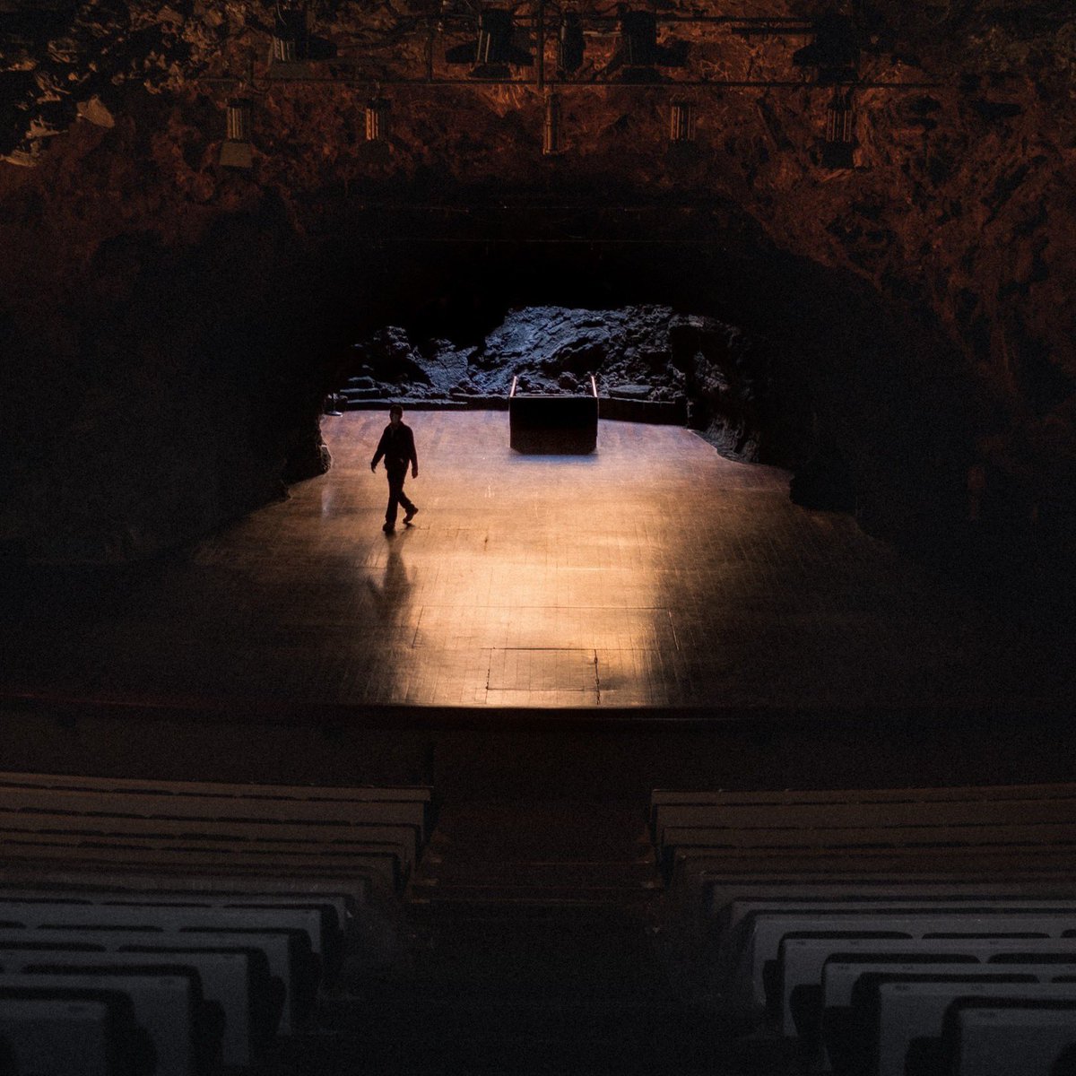 Heidi Plom tweet media