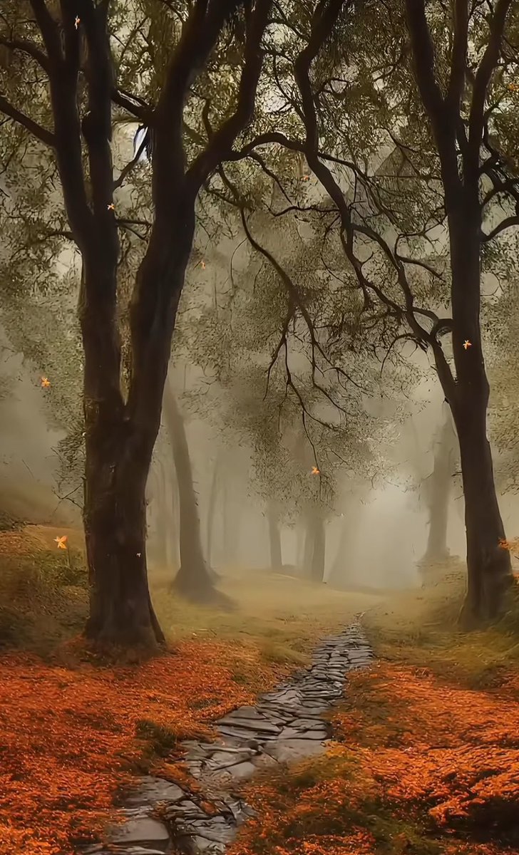Brad_S_M's tweet photo. Good morning my friends 🍂🍁 https://t.co/DxMJE08yYT