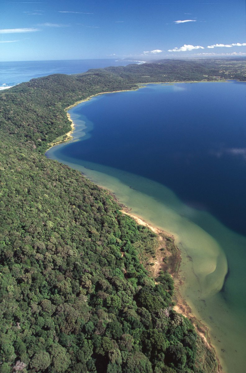 iSimangalisoZA's tweet photo. For a perfect escape and to properly enjoy iSimangaliso, you need at least a week to explore each of the ten jewels that make up the ecologically rich iSimangaliso Wetland Park.
#visitiSimangaliso
#WhereMiraclesNeverEnd https://t.co/UcLpAXpyet