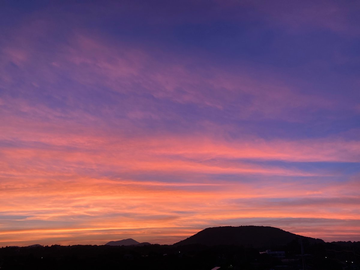 crazy_huh's tweet image. 요즘 솔직히 트위터나 뉴스 보기가 힘들어지고 있었다. 기후위기 책들을 읽을수록 희망이란 거 너무 시한부고 헛되다 싶고 인간의 탐욕과 이기주의에 대한 환멸도 커져만 간다. 
근데 있지, 이거 봐. 오늘은 새삼 깊이 감사하는 마음이 들었어. 세계가 이토록 망가져가는데 아직 이토록 아름답다니