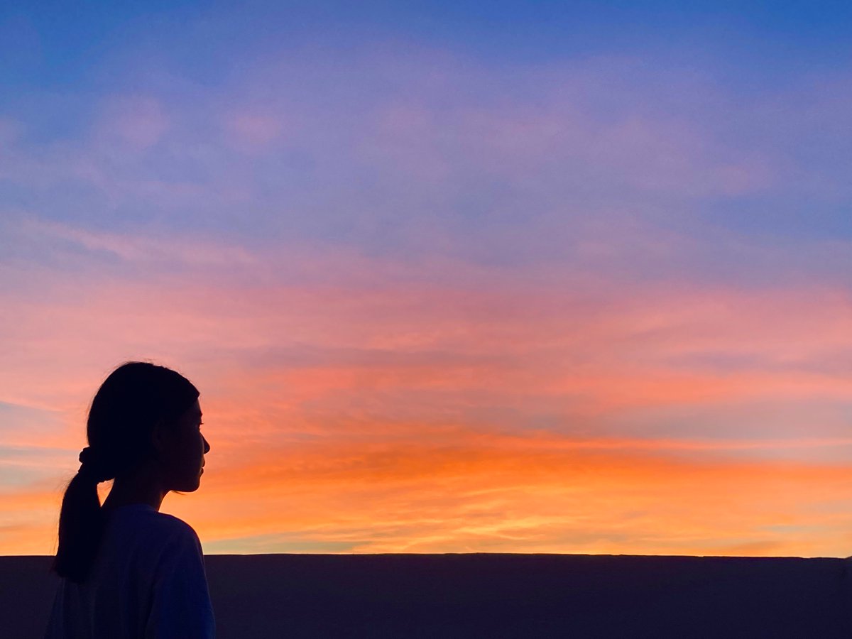 crazy_huh's tweet image. 요즘 솔직히 트위터나 뉴스 보기가 힘들어지고 있었다. 기후위기 책들을 읽을수록 희망이란 거 너무 시한부고 헛되다 싶고 인간의 탐욕과 이기주의에 대한 환멸도 커져만 간다. 
근데 있지, 이거 봐. 오늘은 새삼 깊이 감사하는 마음이 들었어. 세계가 이토록 망가져가는데 아직 이토록 아름답다니