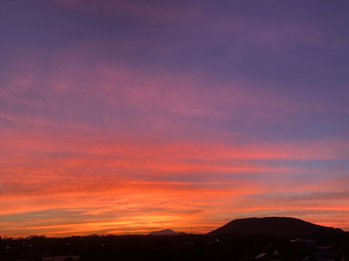 crazy_huh's tweet image. 요즘 솔직히 트위터나 뉴스 보기가 힘들어지고 있었다. 기후위기 책들을 읽을수록 희망이란 거 너무 시한부고 헛되다 싶고 인간의 탐욕과 이기주의에 대한 환멸도 커져만 간다. 
근데 있지, 이거 봐. 오늘은 새삼 깊이 감사하는 마음이 들었어. 세계가 이토록 망가져가는데 아직 이토록 아름답다니