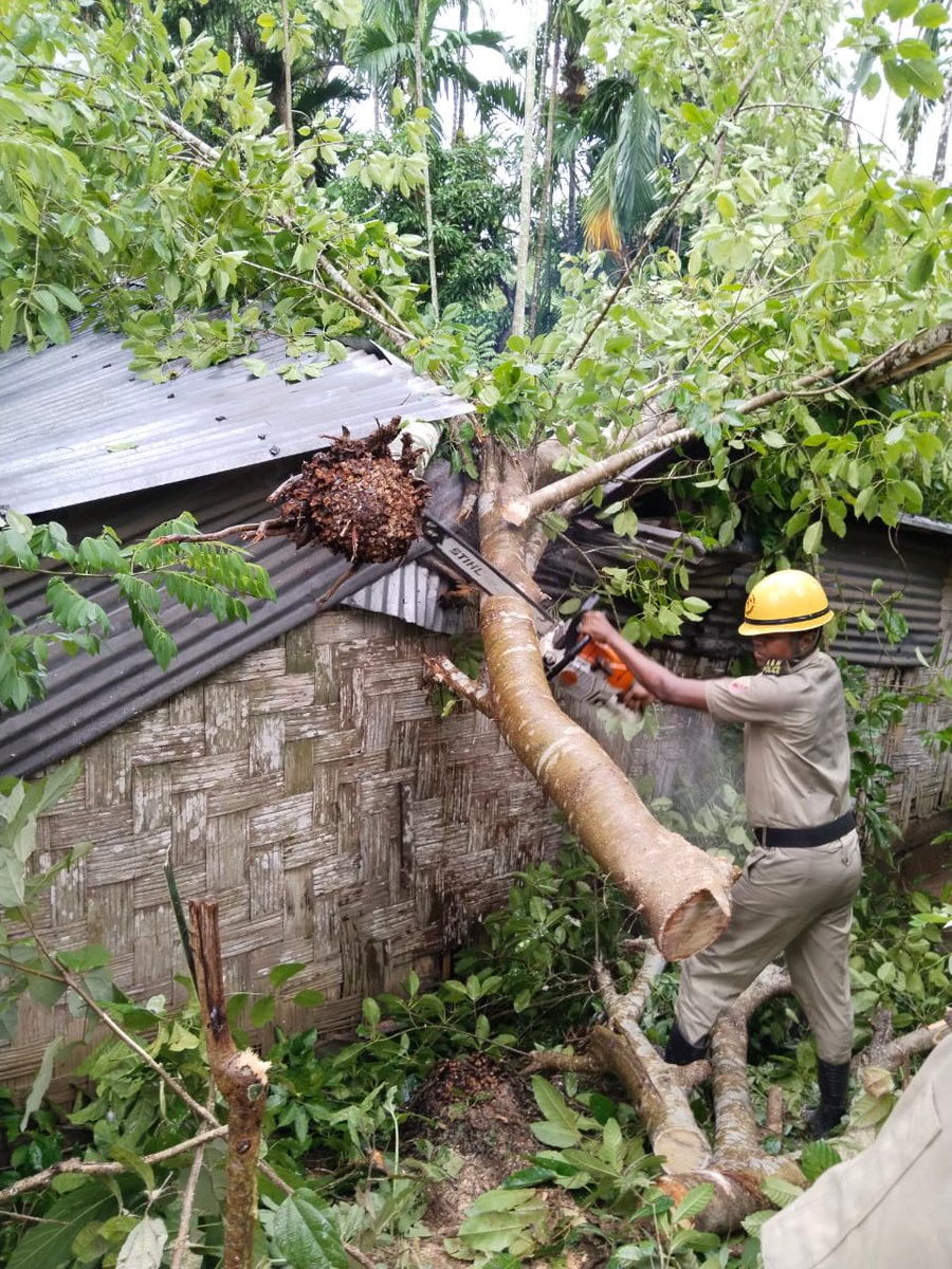 FireService_ANP's tweet photo. #FSAberdeen promptly responded to a Special Service Call regarding fallen tree on a Katcha house at Brookshabad. With swift action of the Firefighters, the tree was cut and removed, preventing any damage to life and property. https://t.co/YMfBRWJYMu