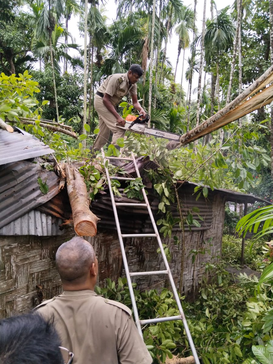 FireService_ANP's tweet photo. #FSAberdeen promptly responded to a Special Service Call regarding fallen tree on a Katcha house at Brookshabad. With swift action of the Firefighters, the tree was cut and removed, preventing any damage to life and property. https://t.co/YMfBRWJYMu