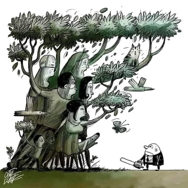 Ormanlar geleceğimizdir geleceğimize dokunmayın @iyiparti @meral_aksener