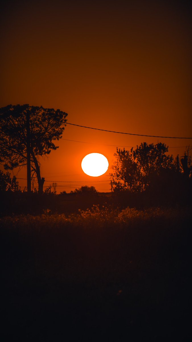 MottEasy's tweet photo. La savana del Salento
#Alba #Sunrise https://t.co/gv90fO1AqK