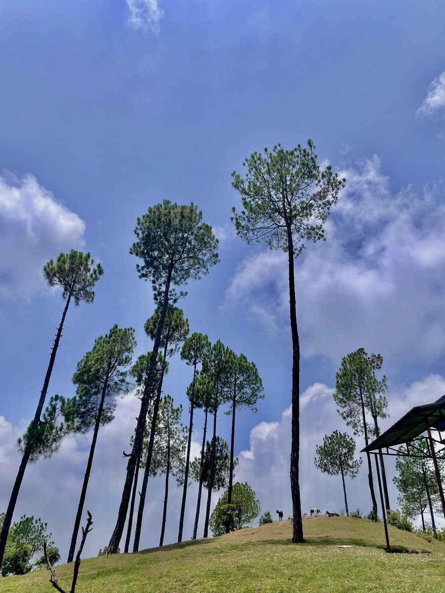 चारैतिर सुगन्ध छाएको बेला
प्रकृतिले पनि गीत गुनगुनाएको बेला

थाहा छैन कथाको इति हुन्छ या आदि
धर्तिले आकाशलाई समेट्न पाएको बेला ॥

#शुभ_संध्या 🧡🧡🧡