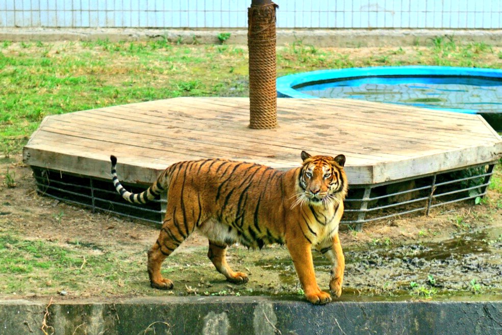 Dorori 🦄 (@sh727272) / Posts / X