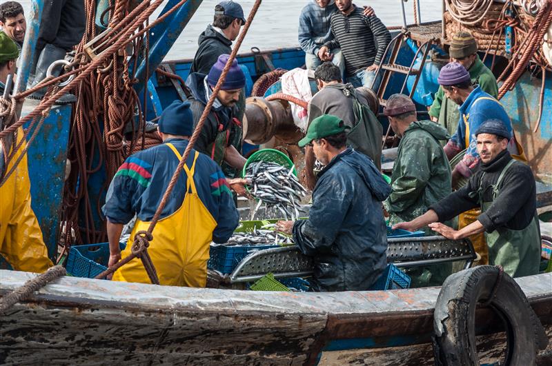 SeafoodSource's tweet photo. Morocco fisheries deal with EU derailed by political conflict with Western Sahara >> https://t.co/2MQNoGiHj1 #seafood #SeafoodSource https://t.co/st6iiM9MGI