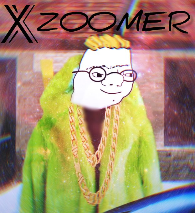 ZOOMER (🚫,🧢) tweet media