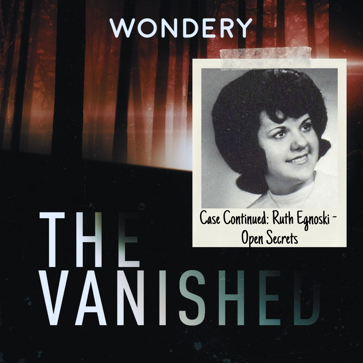 The Vanished Podcast tweet media
