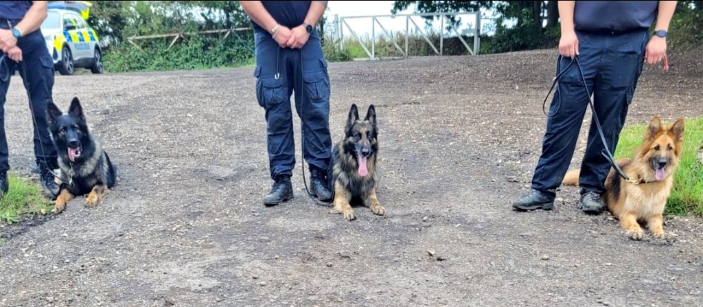 British Transport Police Dog Section tweet media