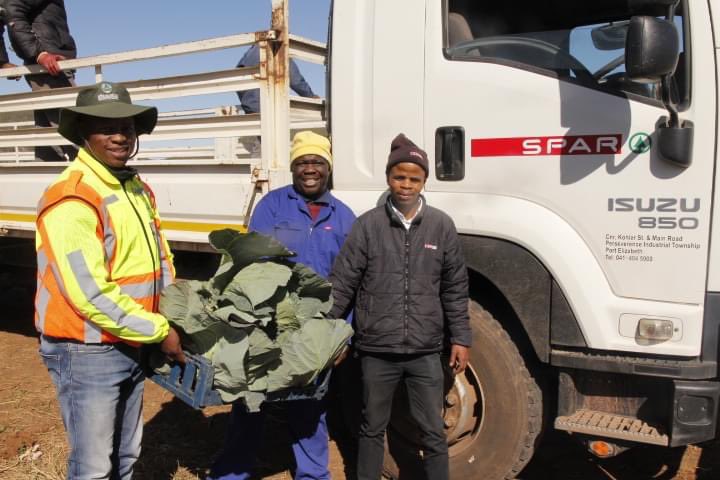 WongamaGela's tweet photo. From the land to the shelves and to your homes! Today it was harvesting day in Lanti, @Intsika_Yethu. Well done to the Sizamile Lanti Primary Co-operation, a co-op funded by Chris Hani District Municipality through the Chris Hani Development Agency. #CHDMAtWork https://t.co/Nc6XYmnvyH
