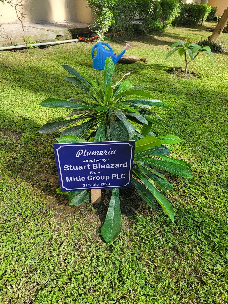 An absolute pleasure to be hosted by the <a href="/Wipro/">Wipro</a> team in Kolkata today and proud to have been able to sponsor a new plant <a href="/mitie/">Mitie</a>. Thanks everyone for their kind hospitality