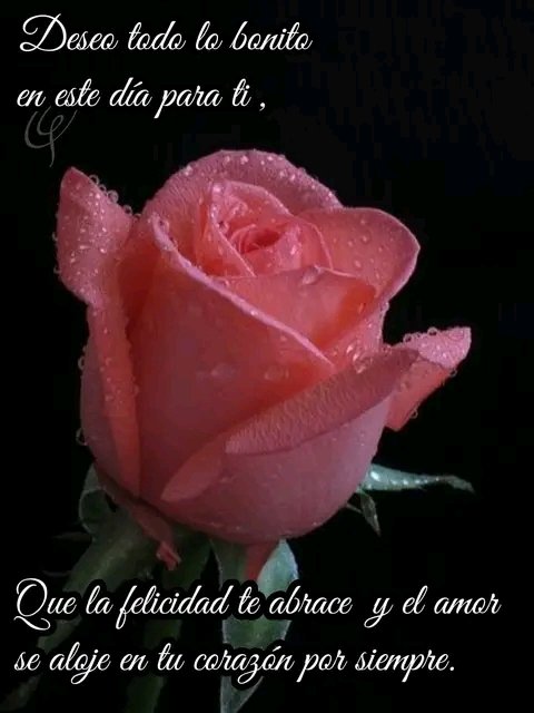 Buenos días 😘❤️🌹🌷🌺🤗