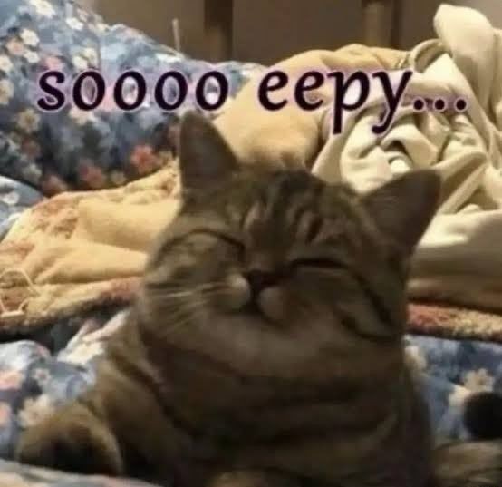 booo⁷ 💛🌟 tweet media