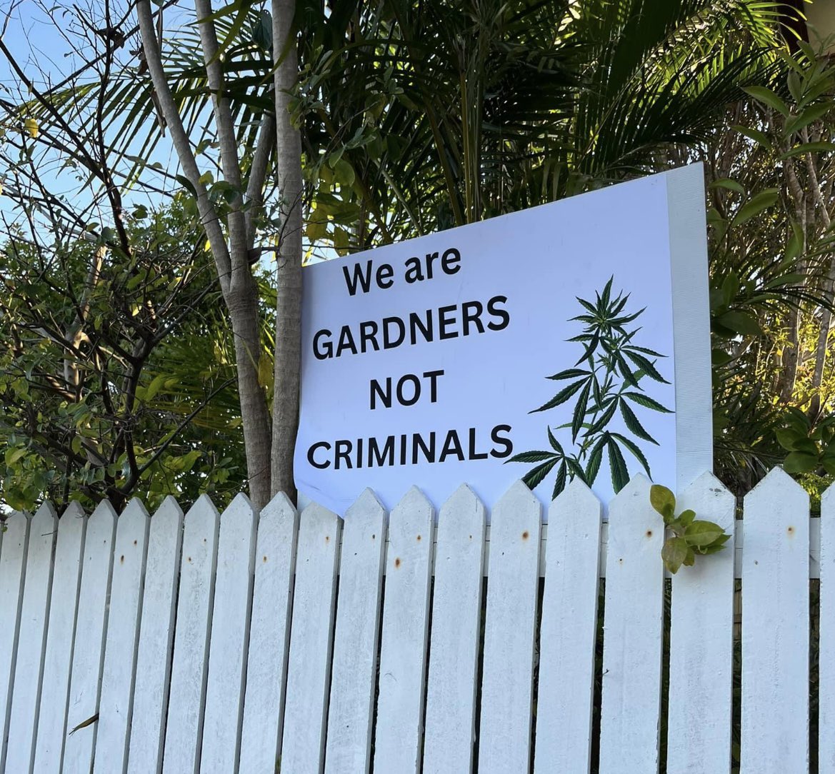 True #cannawebportal #MedicalCannabis #StonerFam #CBD #cure