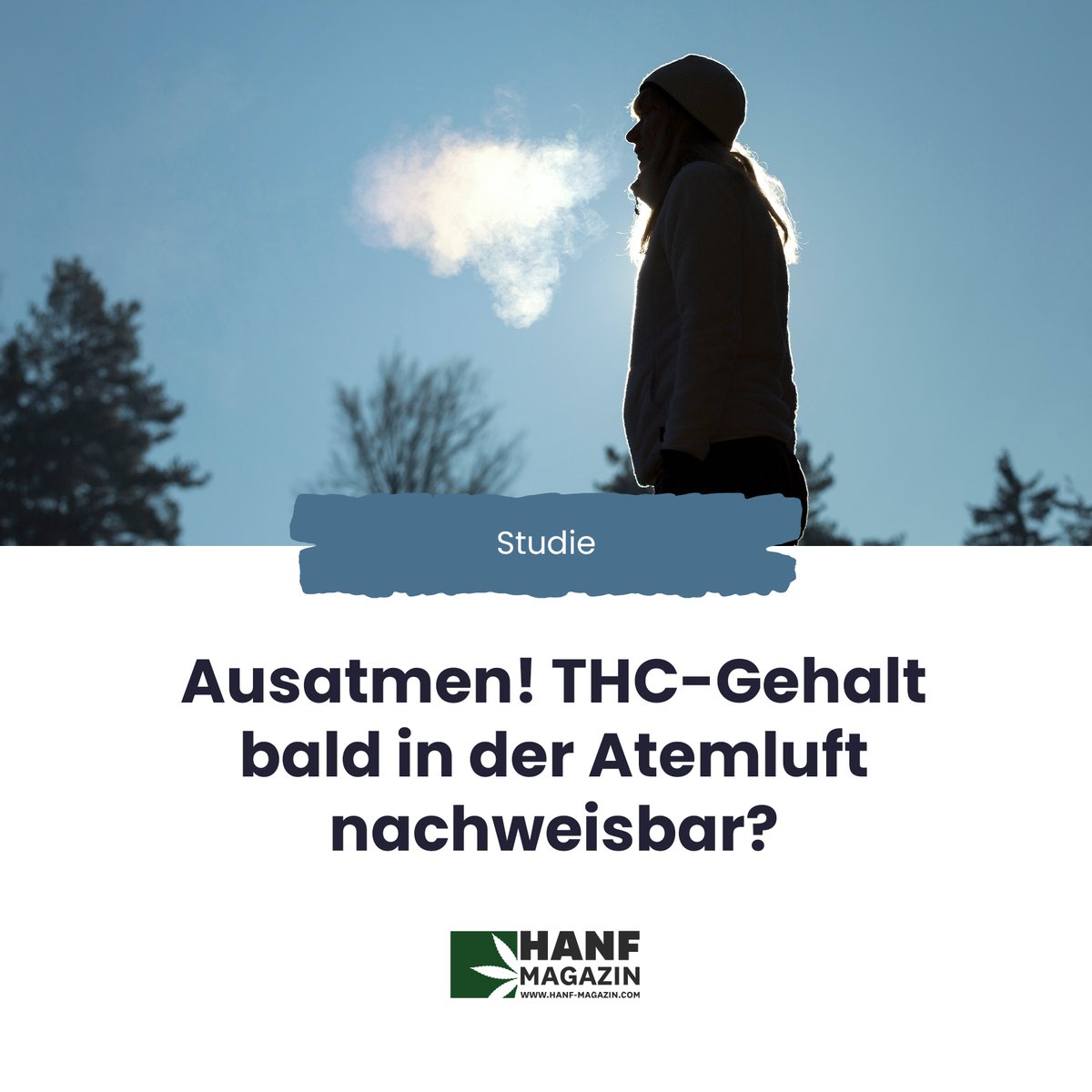 hanfmagazin's tweet photo. Wer regelmäßig Cannabis raucht, könnte künftig mit einem Drogentest noch mehr gegängelt werden als durch die üblichen Verfahren.
https://t.co/rHB7TL9DMJ
#hanfmagazin #thc #thcgehalt #drogentest #thctest #cananbis #cannabiskonsum #legalisierung #cannabis #kiffen #weed https://t.co/foYUoEvqdH