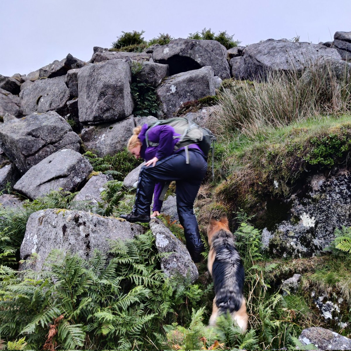 Aidan Harding @aidanharding@fosstodon.org tweet media