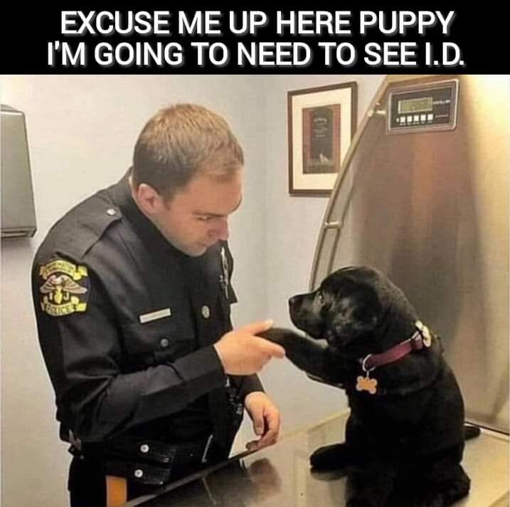 The cops are getting crazy with these IDs