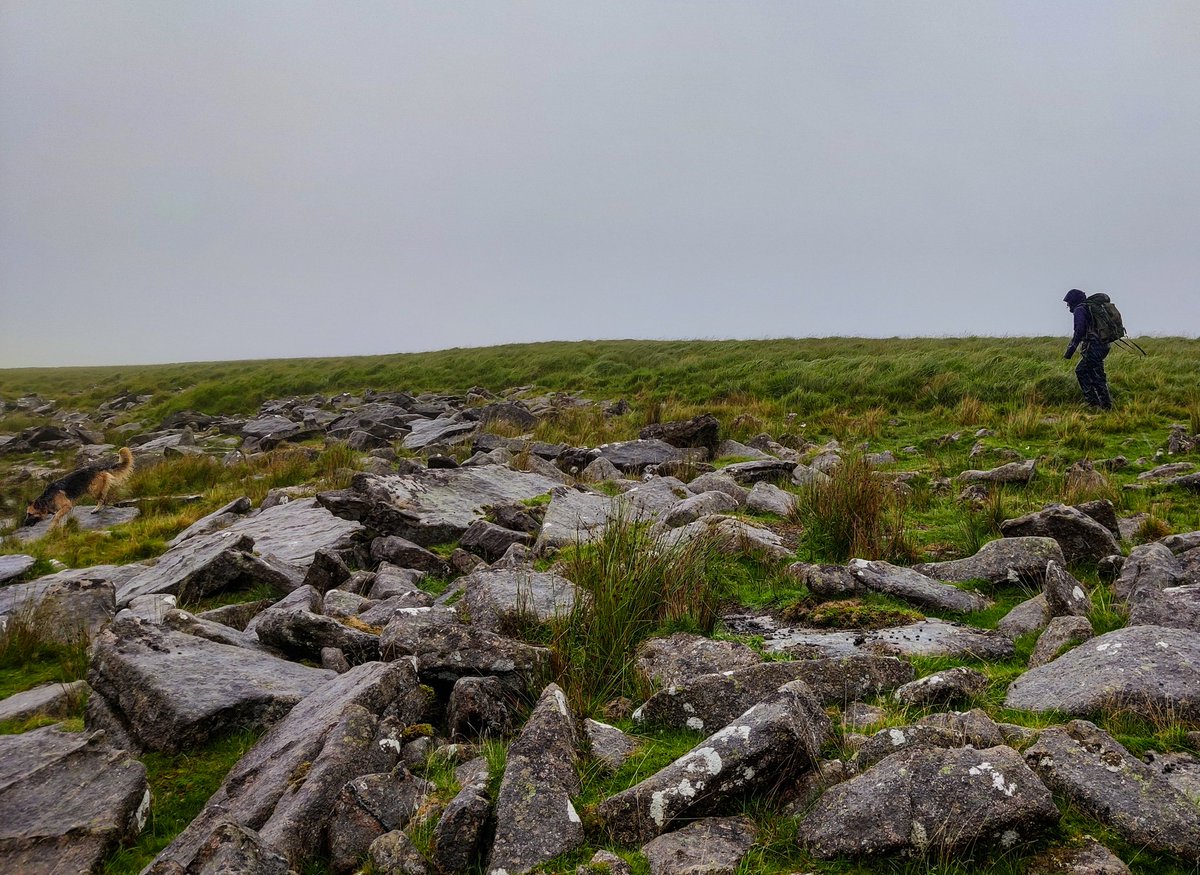 Aidan Harding @aidanharding@fosstodon.org tweet media