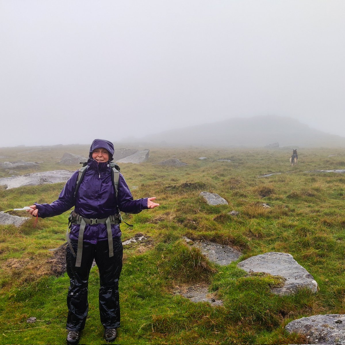 Aidan Harding @aidanharding@fosstodon.org tweet media