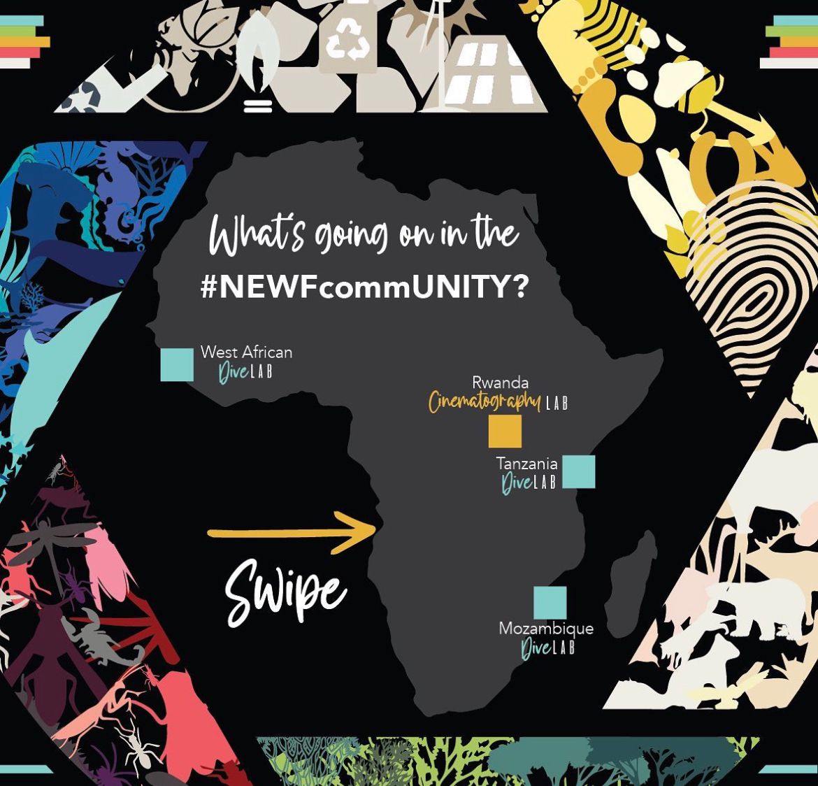 Aqua-Farms Organization tweet media