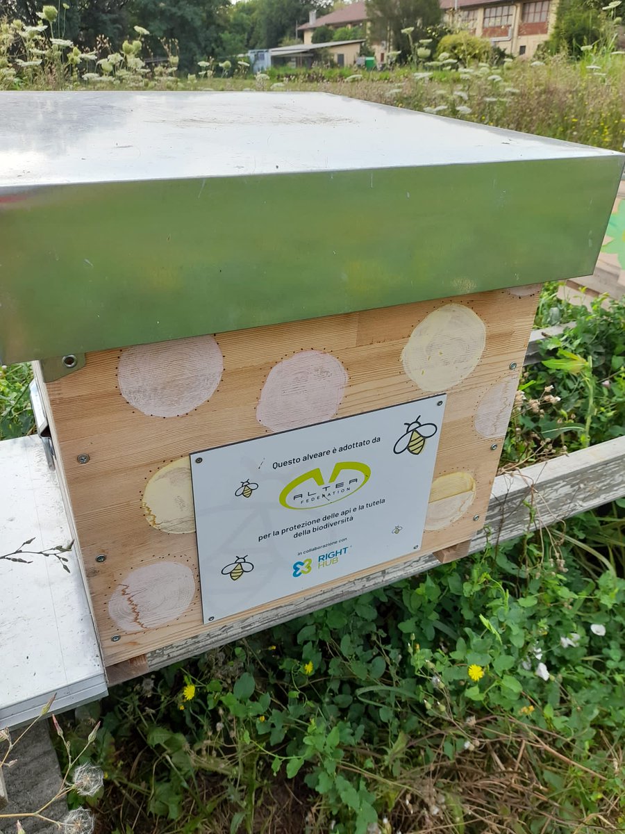 Alcune foto delle #arnie che abbiamo adottato presso Cascina Biblioteca, realtà del milanese che, tra le proprie attività, si occupa di agricoltura sociale, di apicoltura e offre corsi per sensibilizzare sul ruolo delle #api. 

#alteafederation #human #innovation #growth #CSR