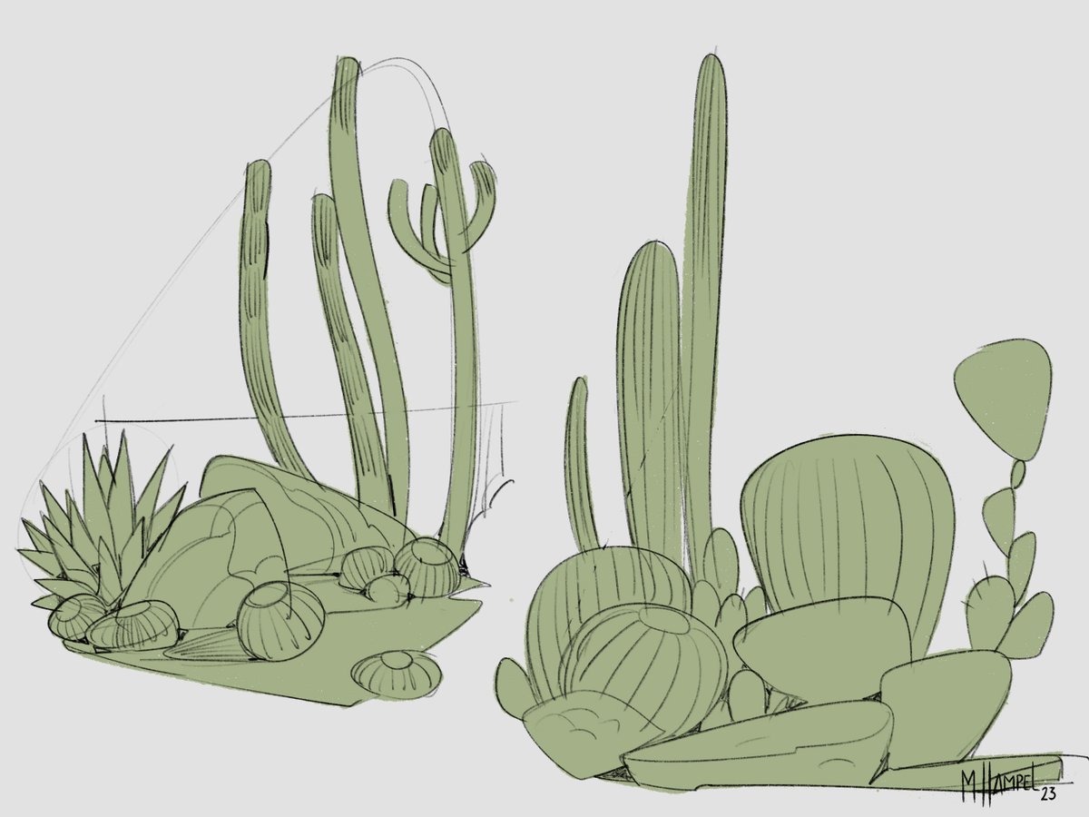 「more desert plant comp sketches just for」|Marcel Hampel | on PATREON & GUMROADのイラスト