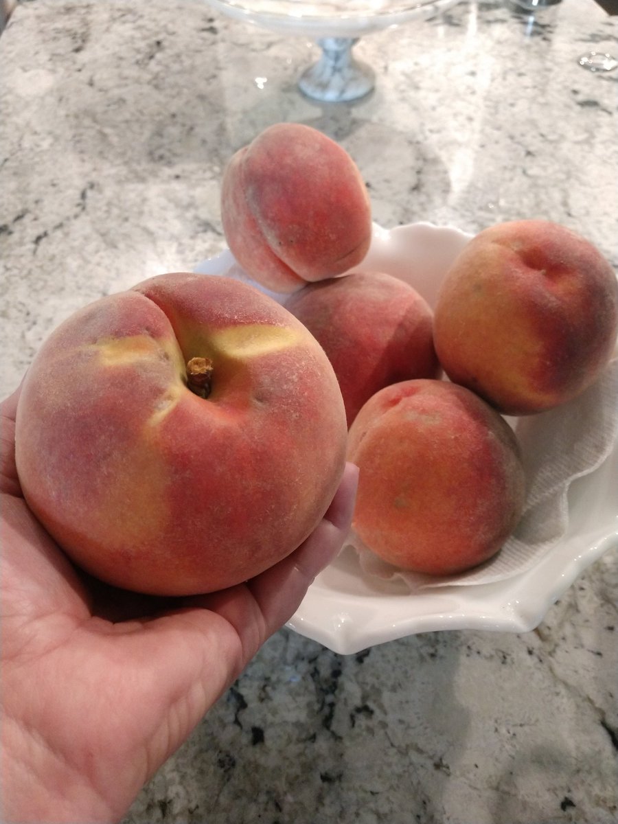 This is one giant peach! 😳 🍑 The Urban Agrarian has some of the best peaches right now. #Mondaymorning #Peach #Foodie #fruits <a href="/UrbanAgrarian/">Urban Agrarian</a>