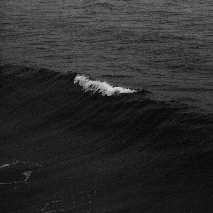 ⠀⠀⠀⠀
 ⠀⠀⠀⠀
⠀⠀⠀⠀𝙎𝙞𝙡𝙚𝙣𝙘𝙚 𝙞𝙨 
⠀⠀⠀⠀𝙩𝙝𝙚 𝙡𝙤𝙪𝙙𝙚𝙨𝙩 𝙨𝙘𝙧𝙚𝙖𝙢.

⠀⠀⠀⠀