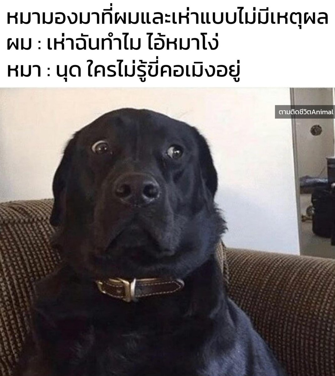 น้อนโว้ยยย 5555555555555555555555555